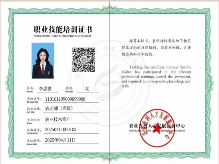 全国职业技能培训资格证书